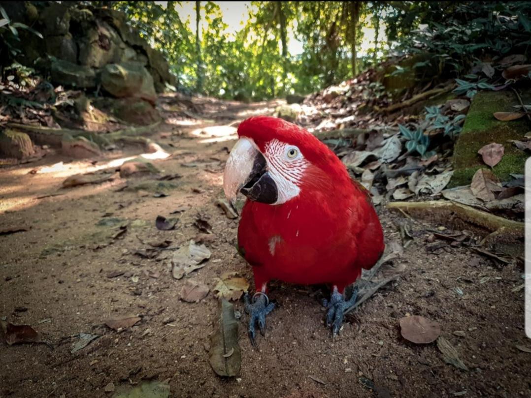 Recanto Da Gipoia Angra dos Reis Ngoại thất bức ảnh