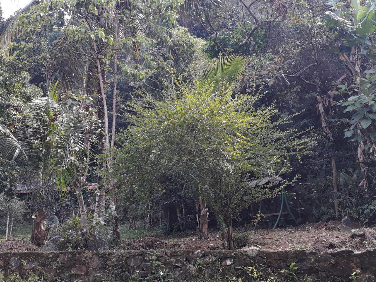 Recanto Da Gipoia Angra dos Reis Ngoại thất bức ảnh